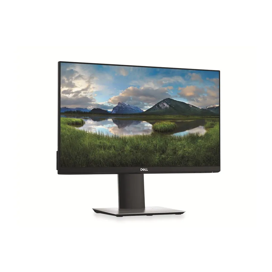 monitor-dell-p2219